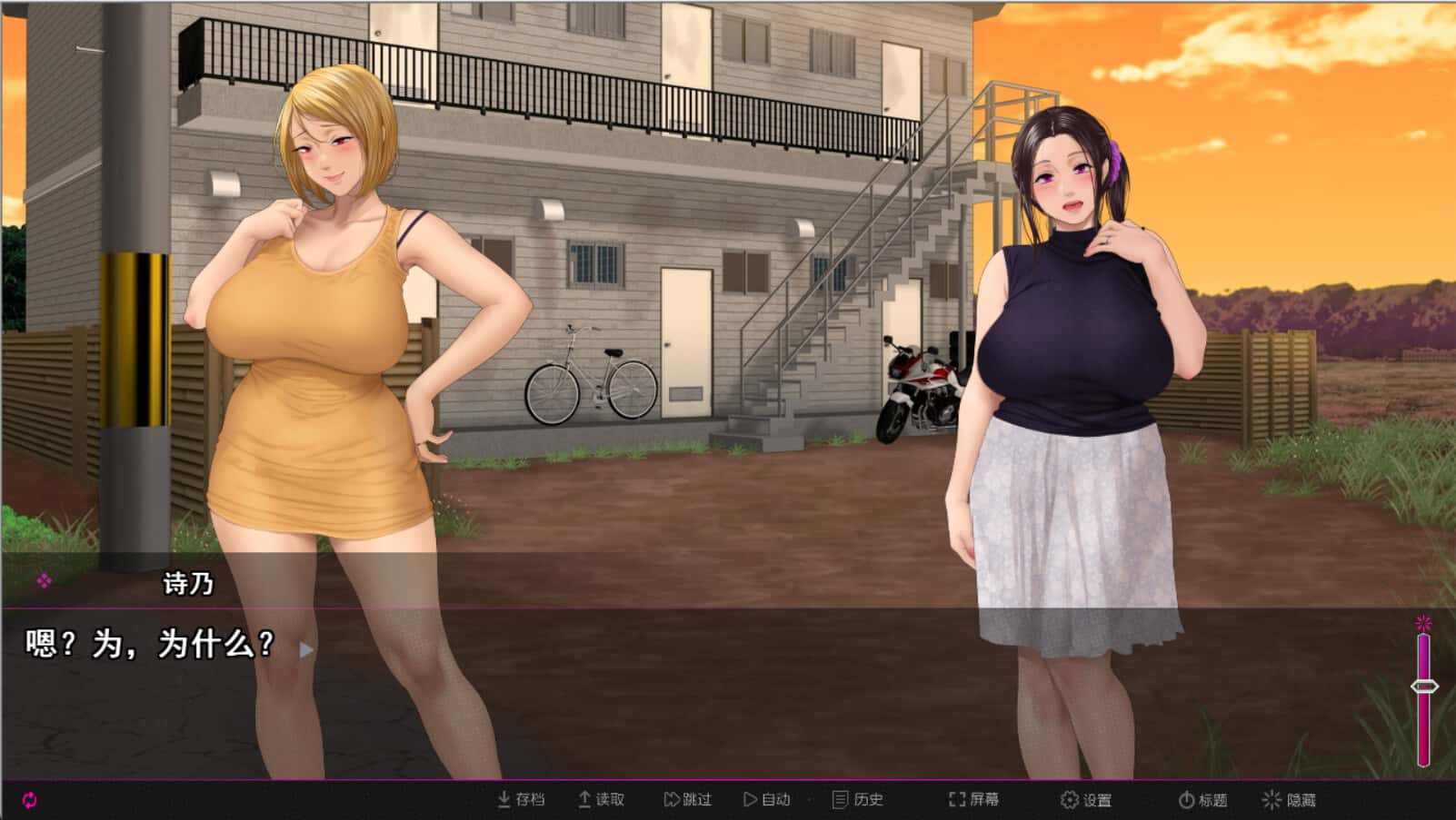 纯情房东撬房客 Afternoon Affairs & Helpless Housewives背景
